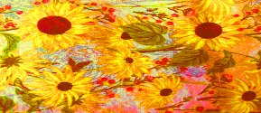 sunflowers
